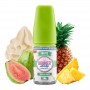 CONCENTRE TROPICAL FRUITS 0% SUCRALOSE - 50ML - DINNER LADY